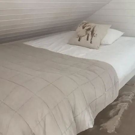 Joutti Luxury House Villa Rovaniemi