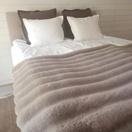 Villa Joutti Luxury House Rovaniemi